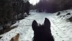 28 12 001 Promenade cheval dans la neige