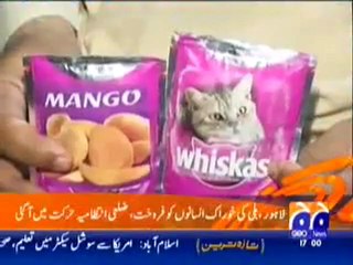 Geo Headlines 8_7_2010.mp4