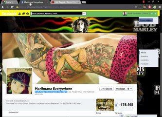 Quien ve mi biografía de facebook