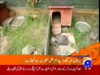 Geo Headlines 13_7_2010.mp4