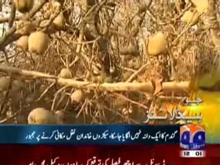 Geo Headlines-12-00 pm-11 Jan,2011.mp4