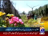 Geo Headlines-5-00pm-6 March,2011.mp4