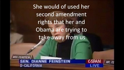 Feinstein in 1995 on her concealed carry permit