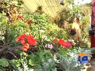 Green Festival At Flower Show.mp4