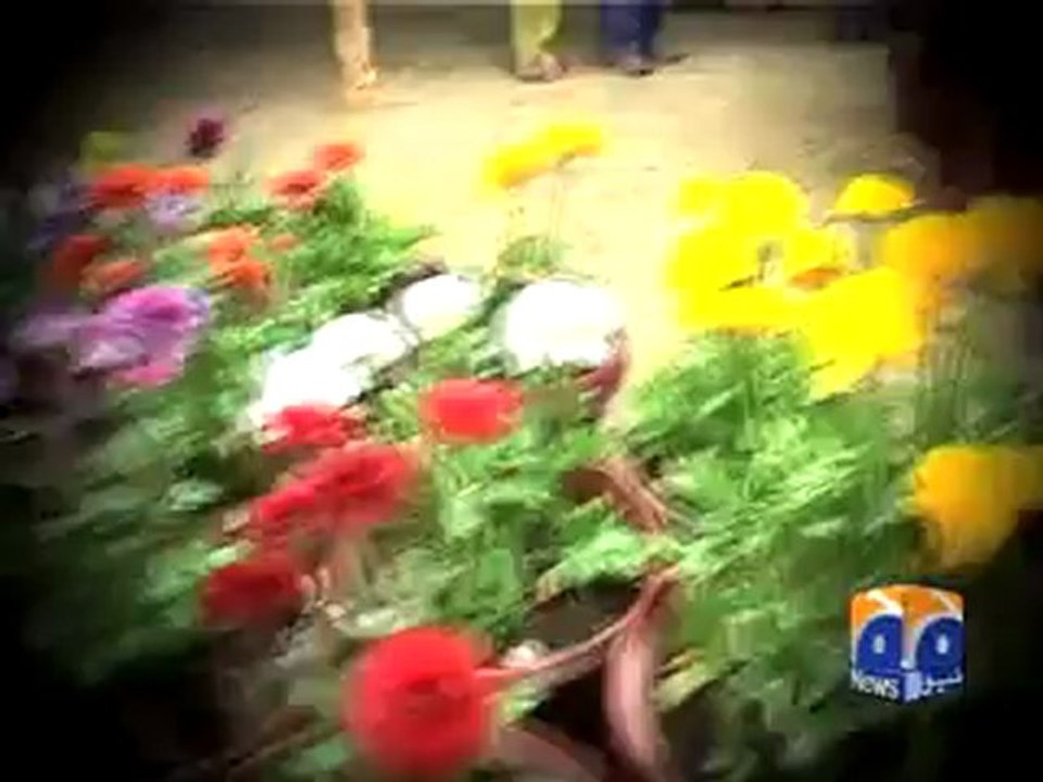 Gulberg Flower Pkg.mp4