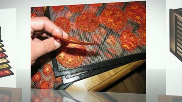 Excalibur 2900 Economy Series 9 Tray Food Dehydrator Reviews