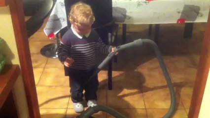 Aspirateur bétisier