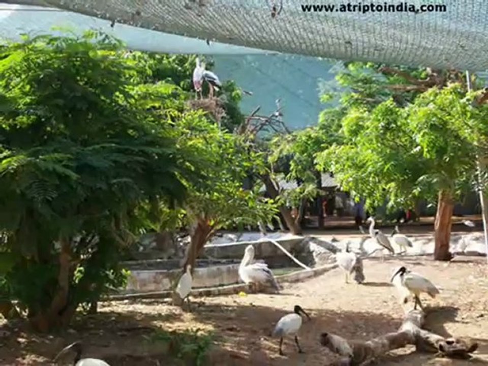 Chennai City Tour India