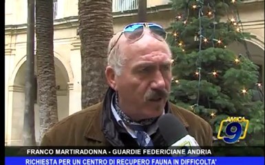 Richiesta per un centro di recupero fauna in difficoltà