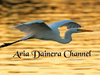 Σοφία Βόσσου, Χατζής ❤ Ζητάς να φύγω