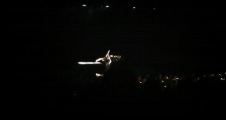 Tchaïkovski:ballet le lac des cygnes swan lake