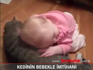 Kedinin yaramaz bebekle imtihanı