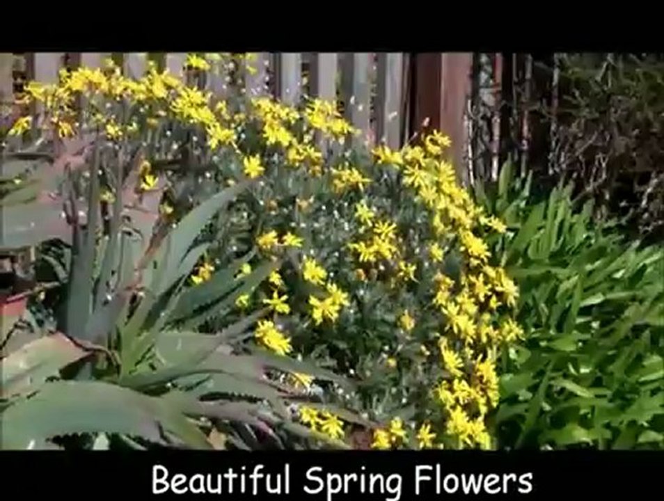 Find the Best Caravan Park In Cornwall