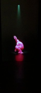 FANTASTIC LILLE 3000 Lapin rose 1