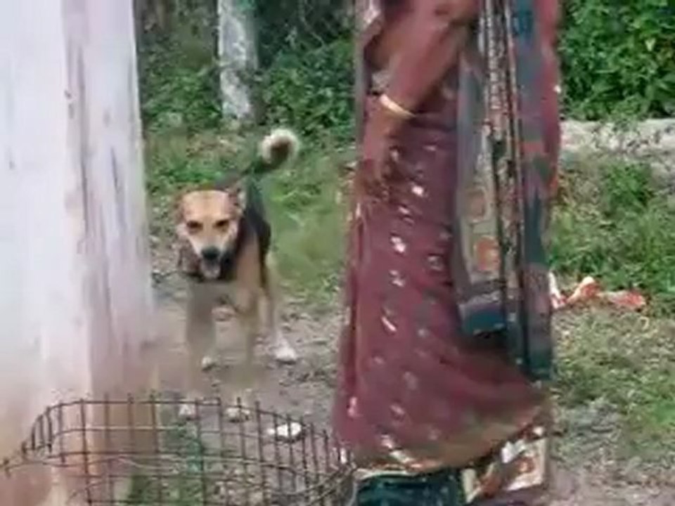 Mom,Janani & their pet