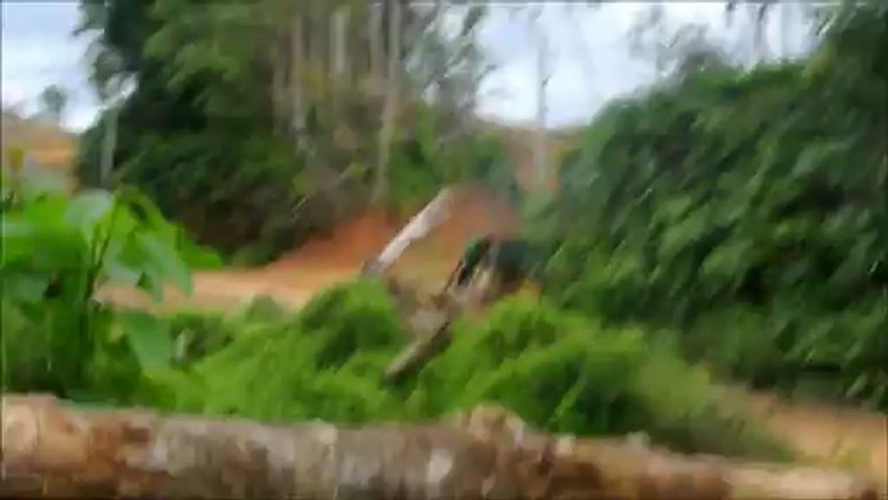 Kuala Betis deForestation