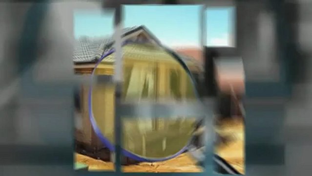 Buying in Adelaide? Make sure you get pre-purchase Inspections for Termites