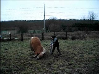 Partie I : Jazz travail à pied  2 janvier 2013