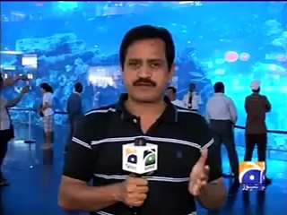 underwater aquarium dubai.mp4