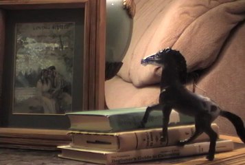 "Tiny Horse Girlfriend"