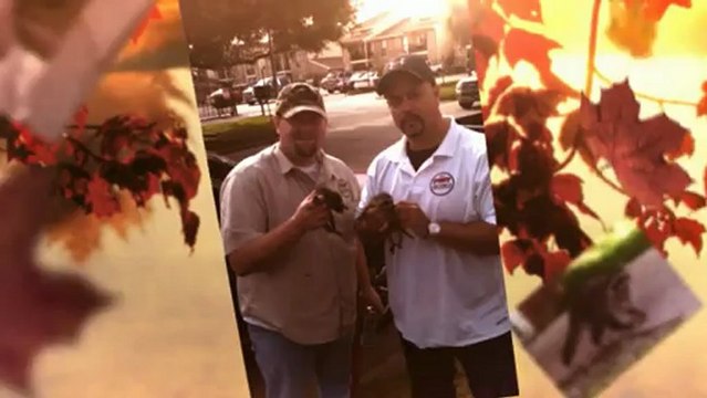 Raccoon Removal | Dallas Texas| the Pest Guru 214-614-8447