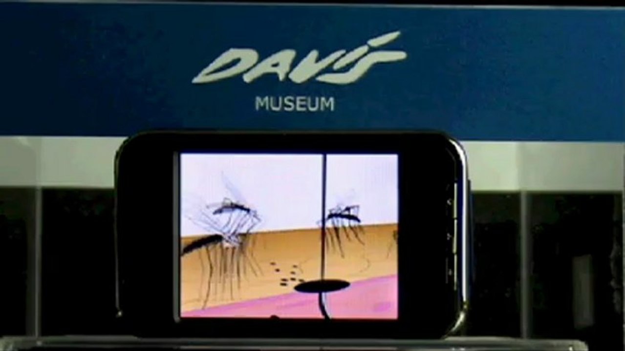 PSJM | Khodorkovsky | Davis Museum | The Davis Lisboa Mini-Museum of Contemporary Art in Barcelona