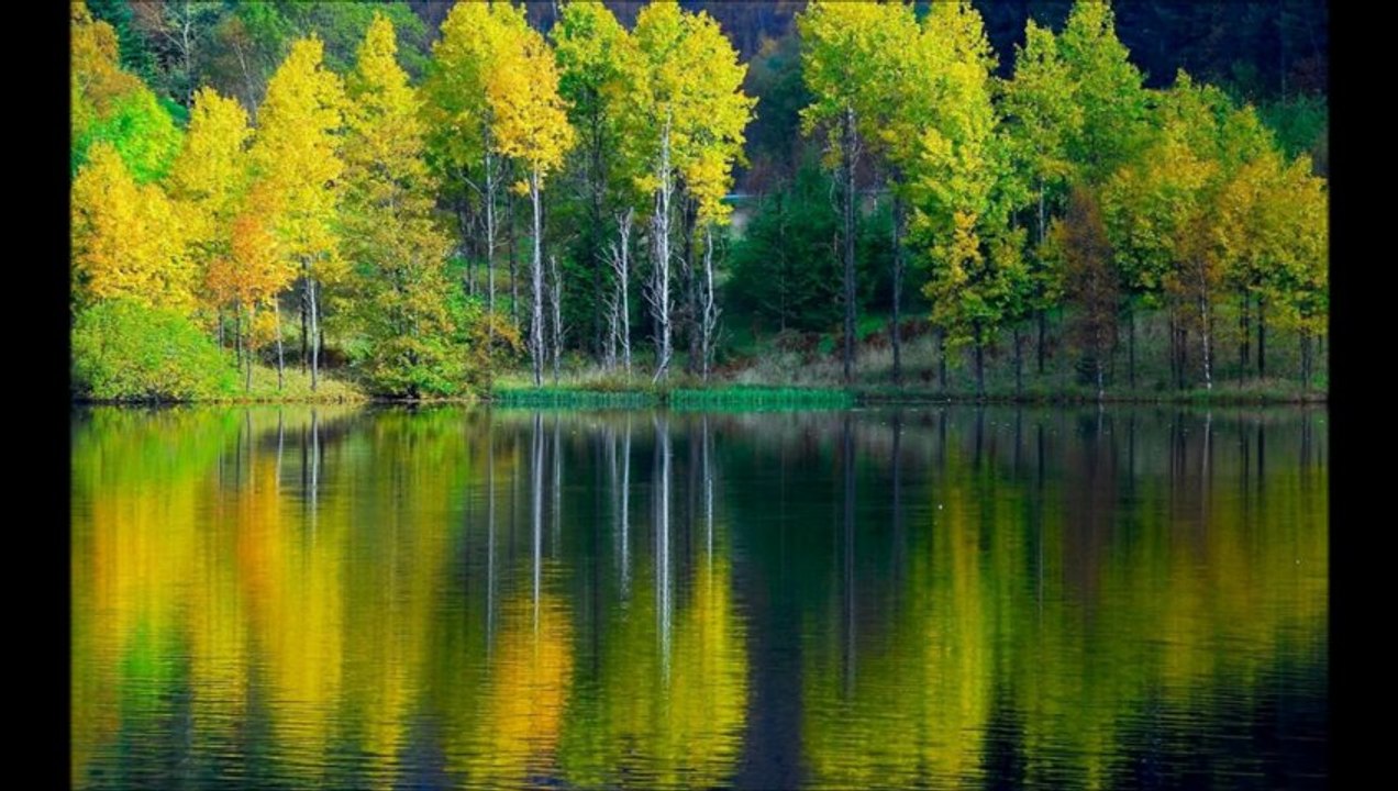 Kirtan: musica dagli effetti terapeutici contro lo stress