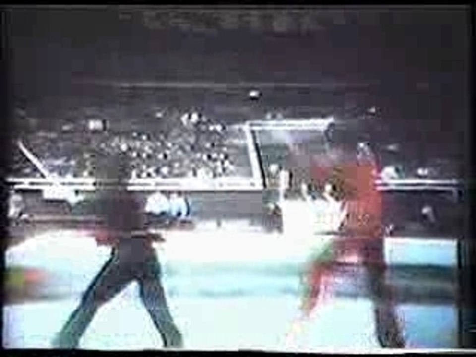 Martial Art Fighting