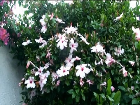 SICILE ILES EOLIENNES