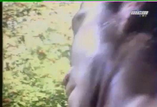 Noir Desir - Tostaky (clip)