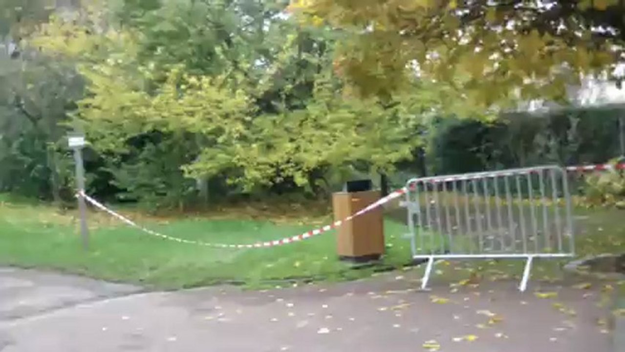 Corrida d'aulnay sous bois - édition 2012