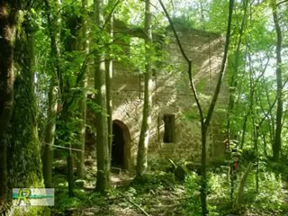 Neuwiller les Saverne