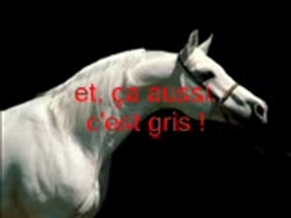 les robes simples