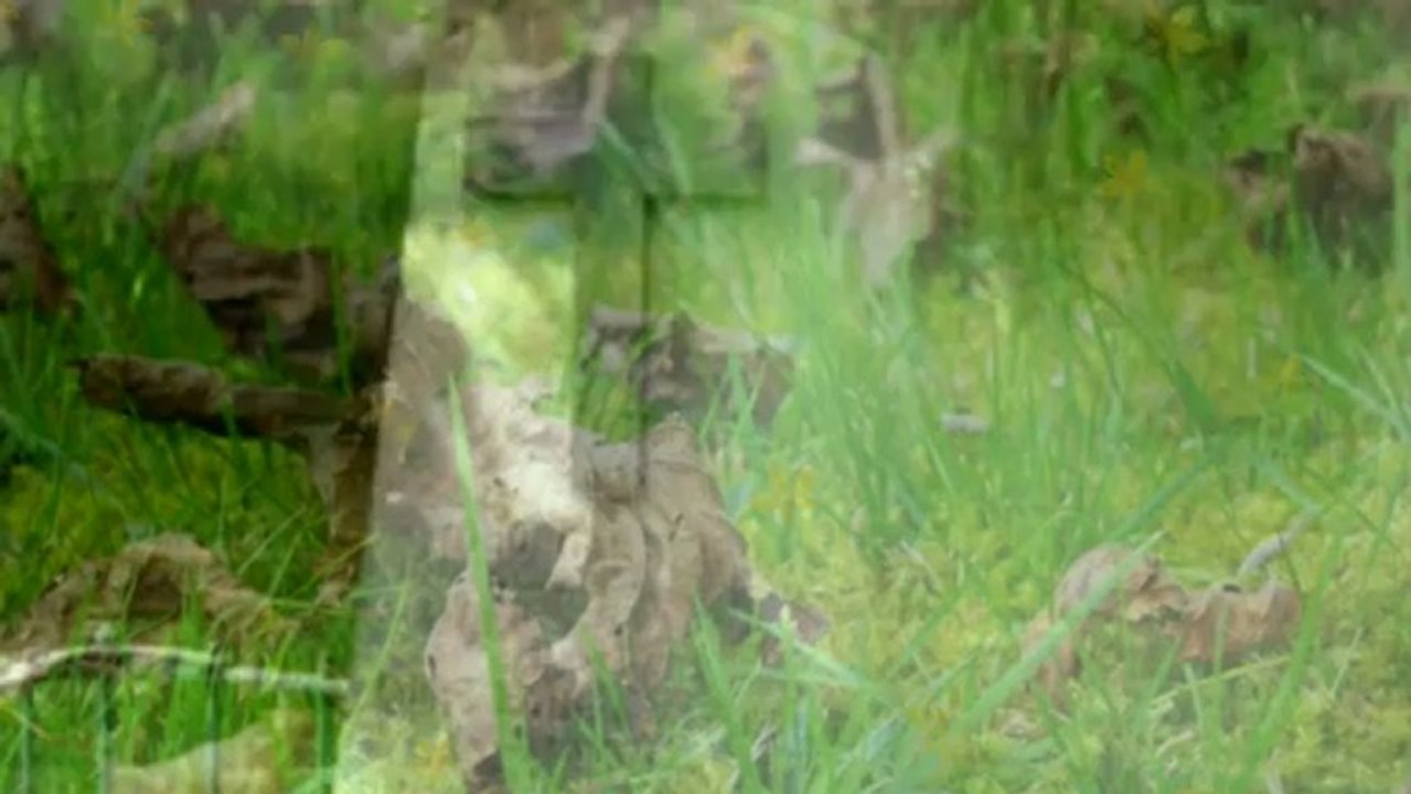 PENSEE DES MORTS (LAMARTINE - BRASSENS)