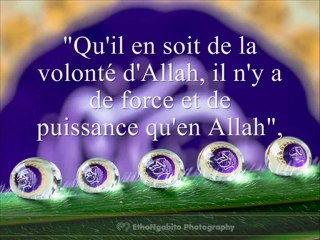 Celui qui dira cette invocation, face à une chose qui lui plait, sera préservé, des calamités.