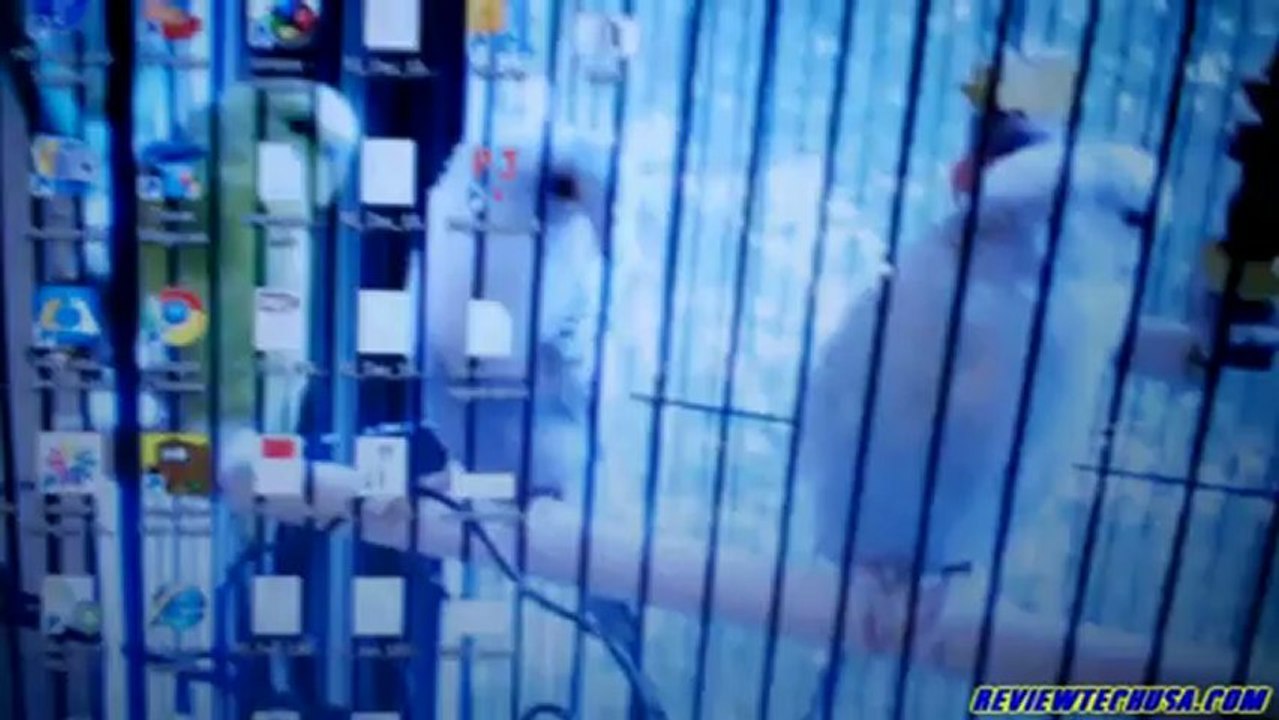 Tomee Snes USB Controller Review