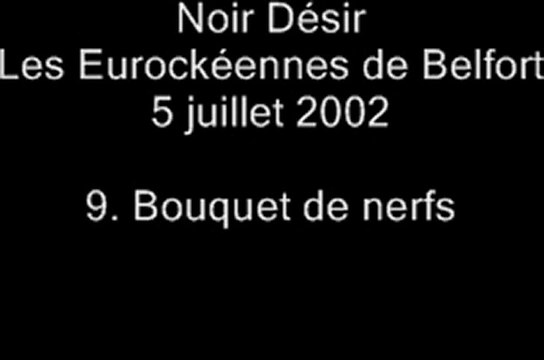 09.Bouquet de nerfs - Noir Désir aux Eurockéennes de Belfort le 5 juillet 2002
