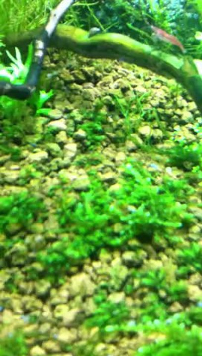 mon vieux 500l