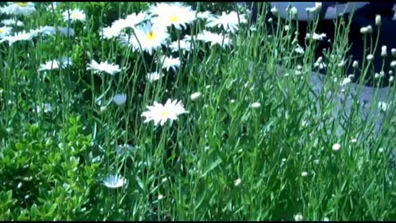 MEDFORD BUSINESS GENERAL IN OREGON