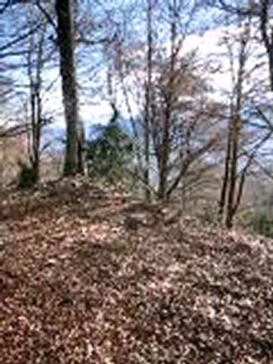 MVI_1074verticale