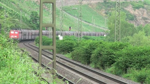 Züge beim Bopparder Hamm, Crossrail Class 66, 2x BR140, BR152, BR185, 3x BR101, BR460