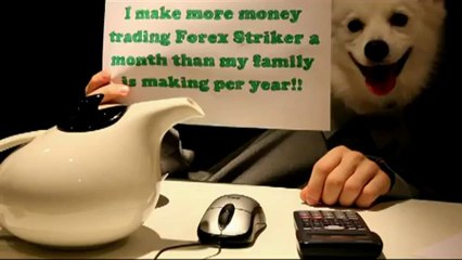 First Forex Trading Dog