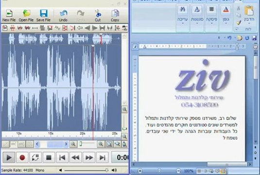 זיו שירותי תמלול 04-8701346, 054-3108599