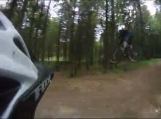 DH Nivot 072010 Shot down in flames