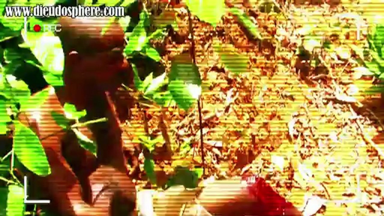 Les Pygmées - Extrait de "Métastases" - Dieudo