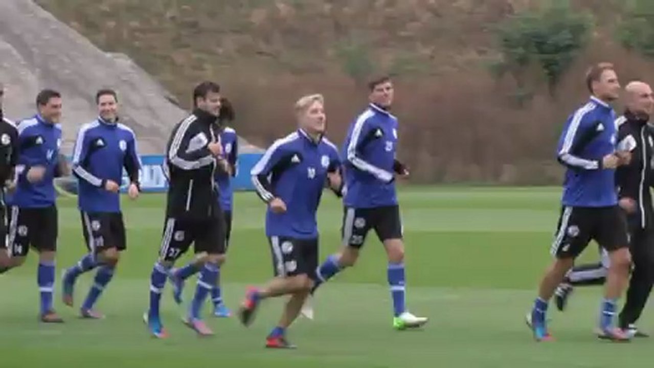 Schalker fans wütend auf holtby