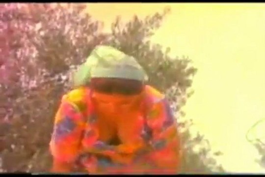 Müjde Ar -Şener Şen şalvar davası -Aynur Haşhaş- içmişem sarhoşum bugün - 2013 yeni