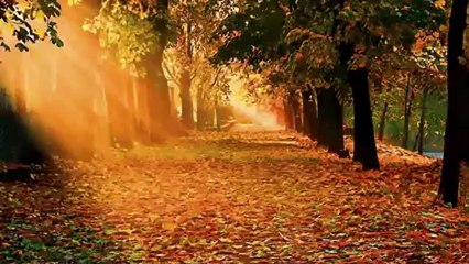 LATİFE ERASLAN-GİTME YEMENE