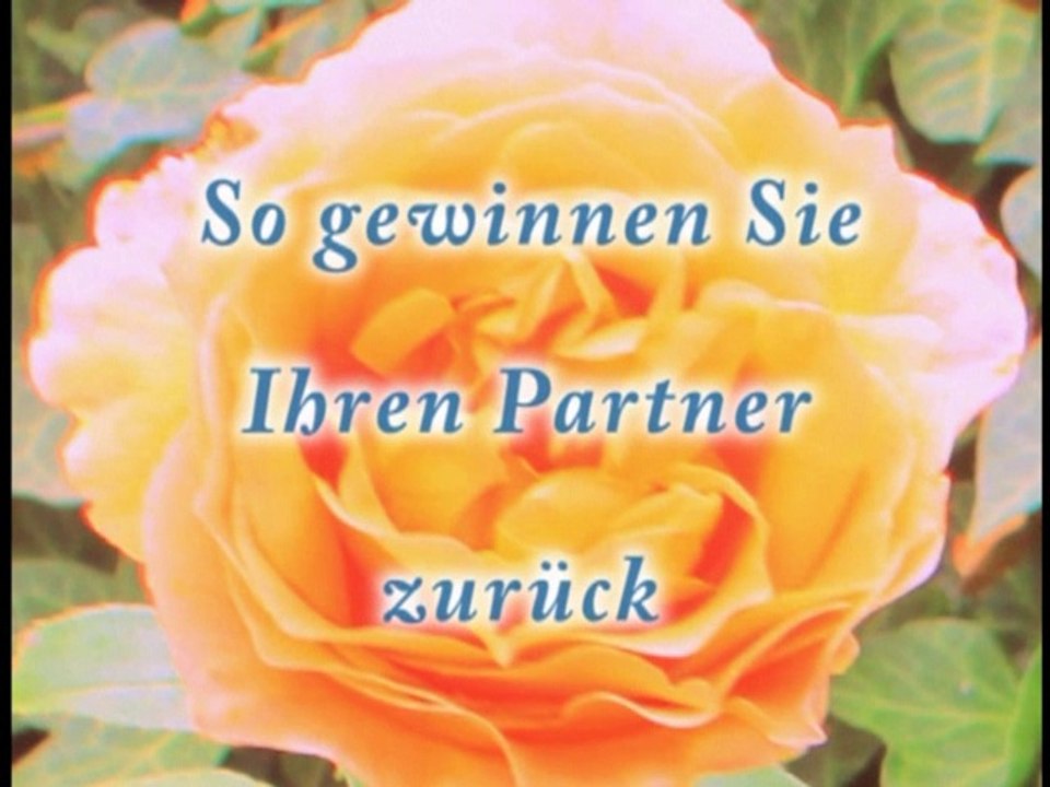 Partnerzusammenführung, Ex - Partner zurück,  Liebeskummer, Ist es überhaupt möglich den Ex-Partner zurück zu gewinnen? Partnerforum.info