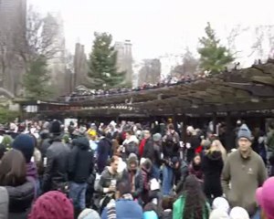 patinoire-central park 2